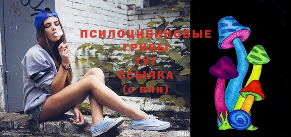 PSILOCYBIN Бугульма