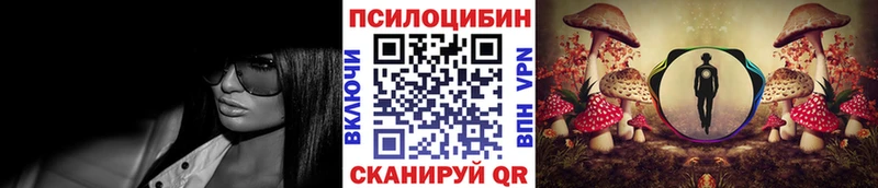 Псилоцибиновые грибы Cubensis  kraken вход  Красный Кут 